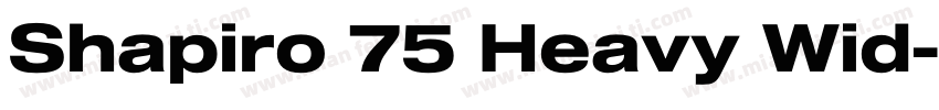 Shapiro 75 Heavy Wid字体转换